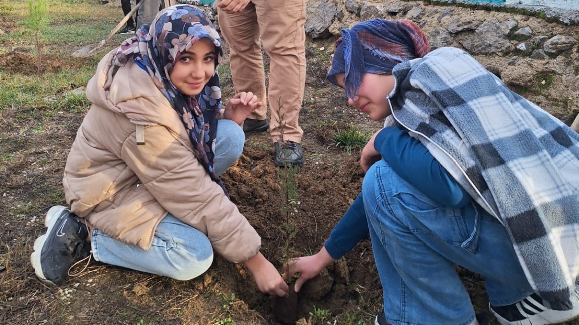 Yeşil Vatan-